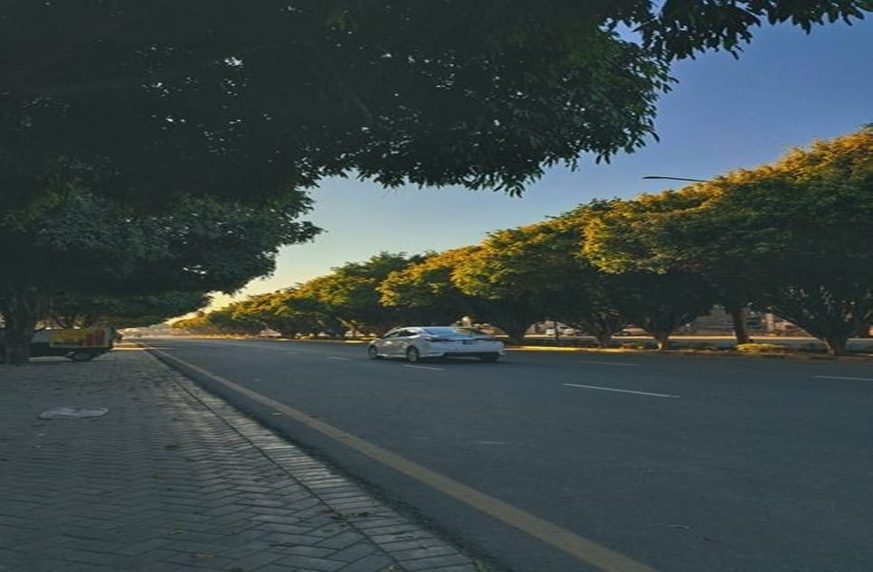 073f34df-f1fe-4c27-af5b-3133bc1c384e-1