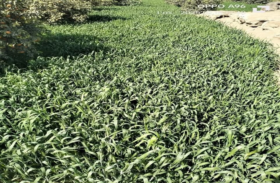 0c872059-3555-40fc-9c73-dfdac55066fa