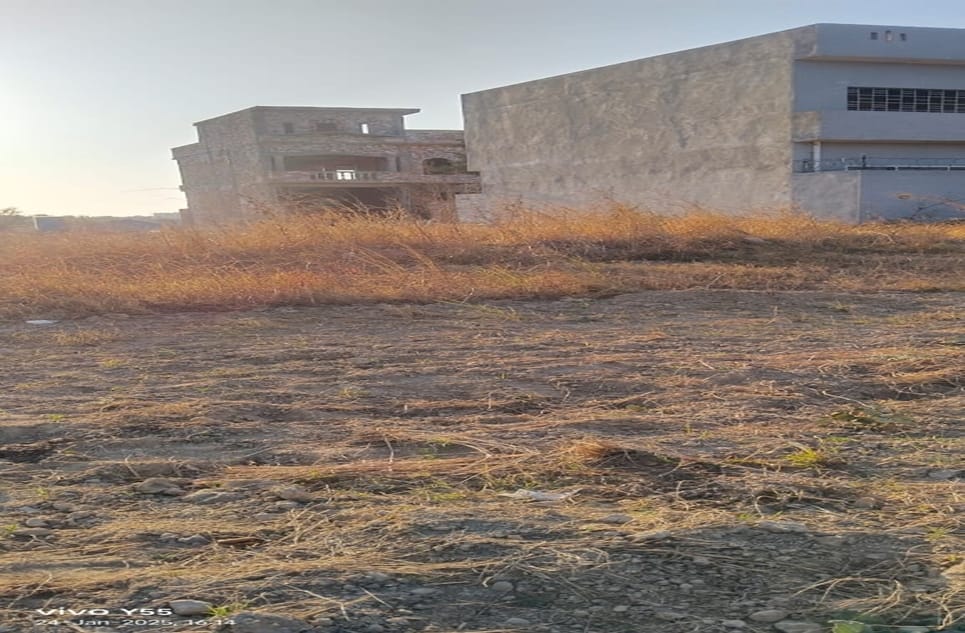 203aab1f-6d5e-4bdf-ae2b-68820c13da1a