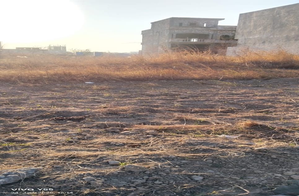 215c4963-5615-4d2f-b732-249b6ba3b906