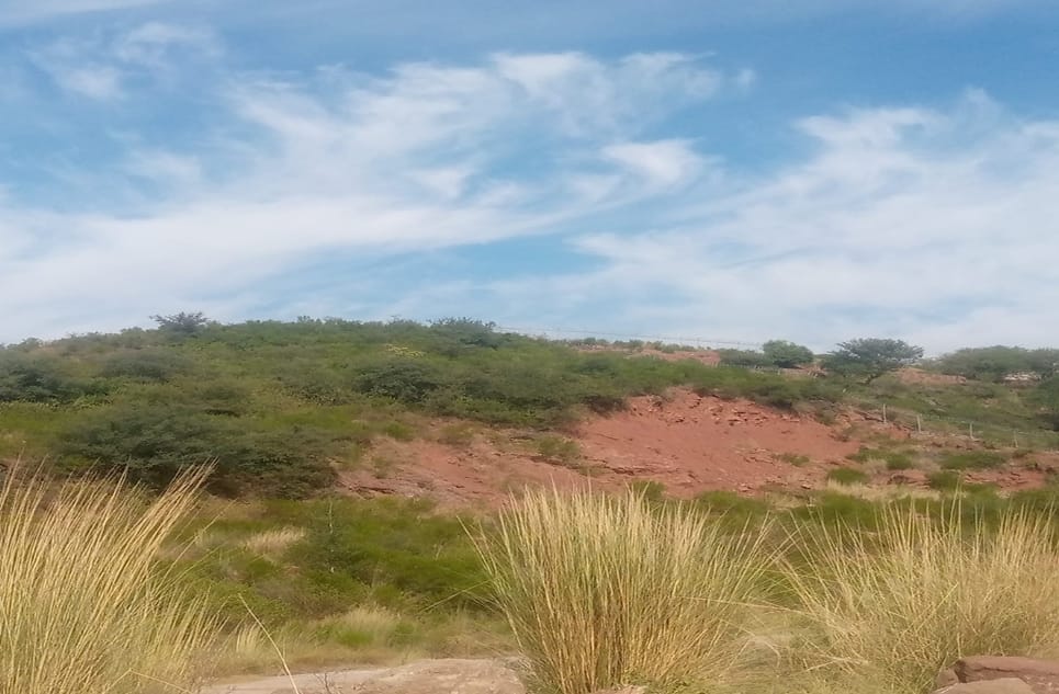 2497a80c-f8c8-46ee-b7e2-acba89ea996b