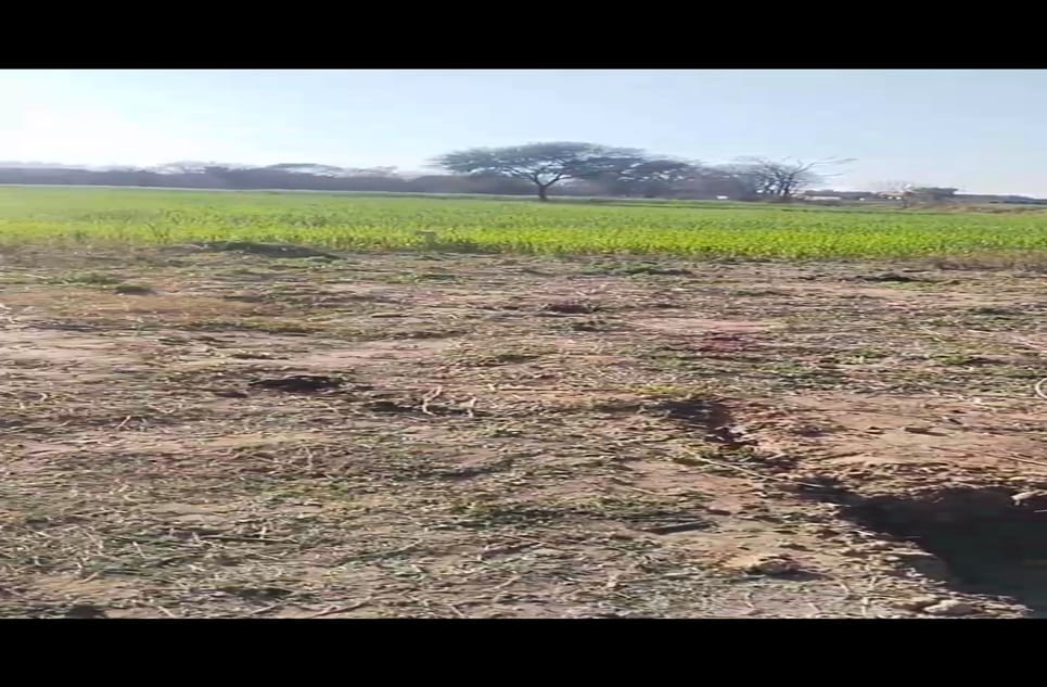 28c864fd-b72c-49e0-87f6-280aa1ed6fc2