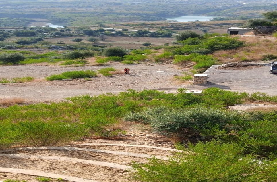 3cd9b347-0f21-4d23-ba46-b733342f03e4