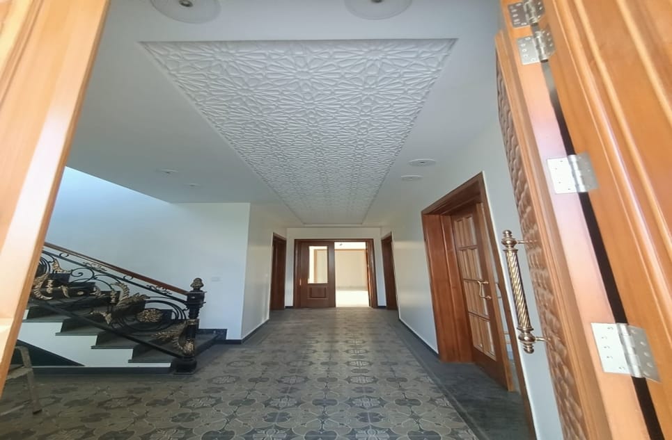 54ea0dab-5fd6-4ce6-9cc7-06ab80506e11