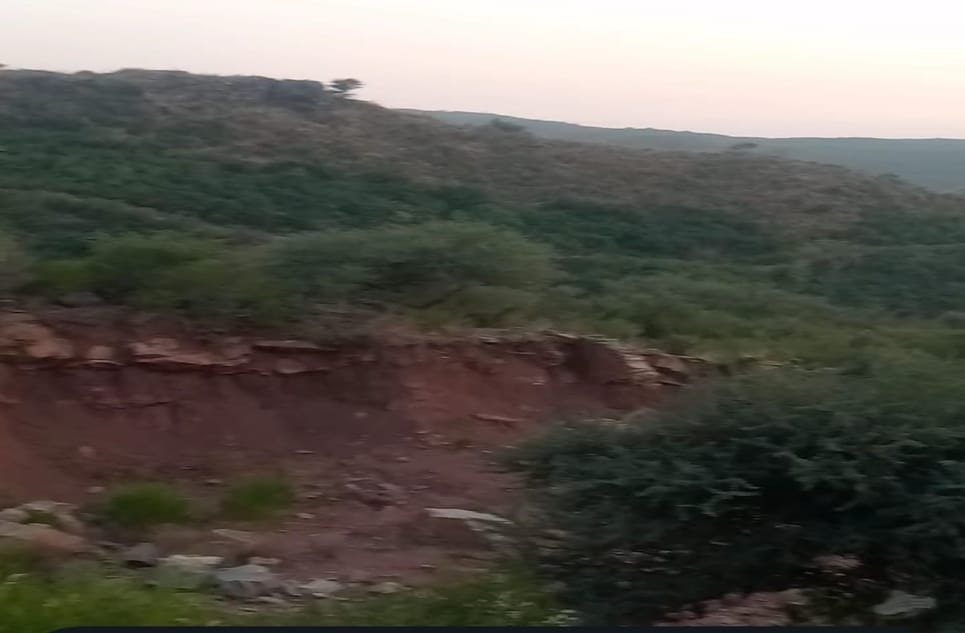 69275c0f-fdc1-4d0e-9546-f4464fa94c32