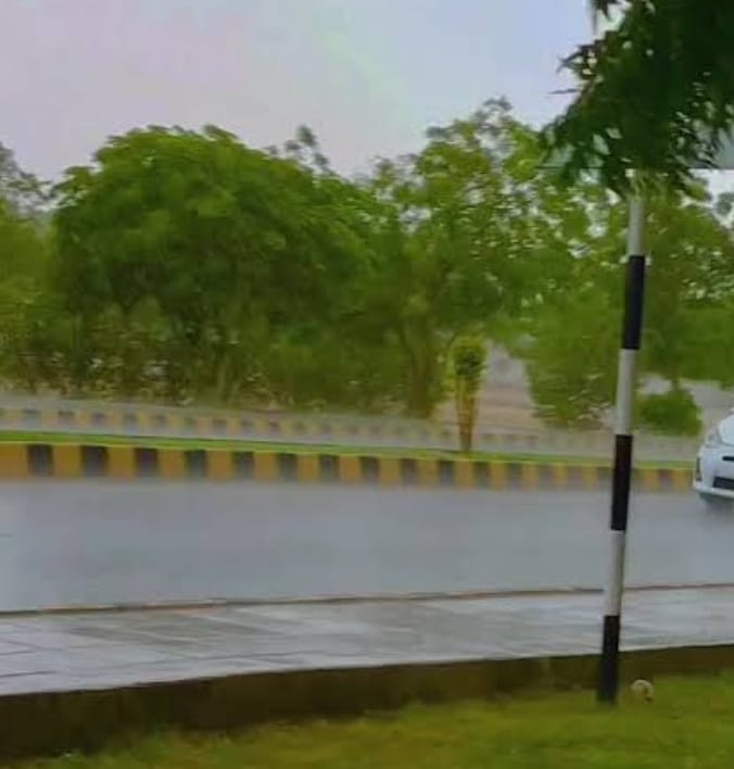 7937a100-e6cc-47ea-9a4e-2819c5ea7496