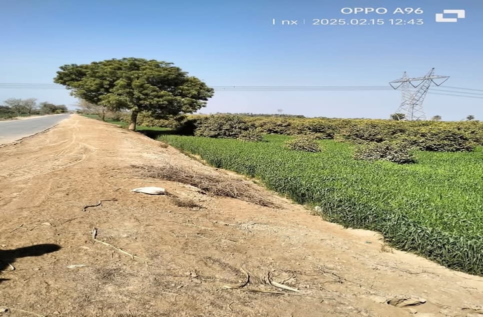 800738d8-cde9-4e72-a089-7884be05c07d