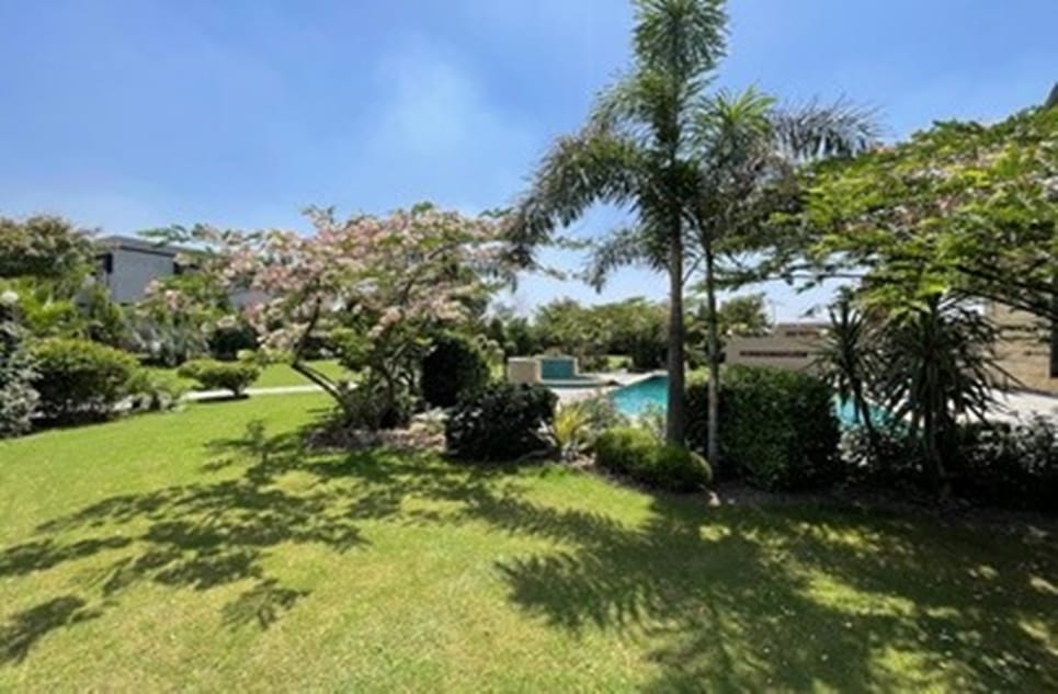 8735f9c7-268f-4431-9014-f51f5d121c86