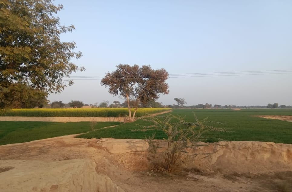 880e51db-a824-4eb2-a934-c1724f82124b