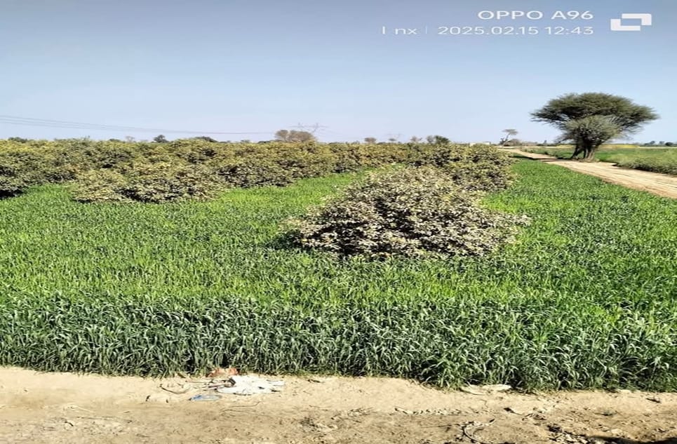 894dc13a-2591-4696-be78-4b8c07e1f680