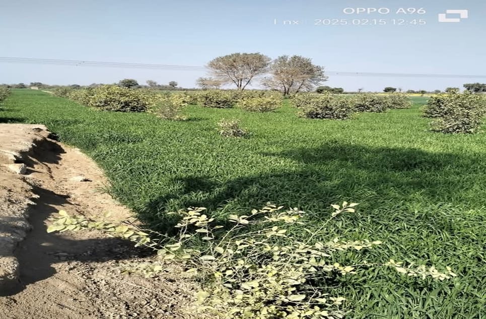 8c8958ed-29ee-4a05-9f36-f38ac9e632e8