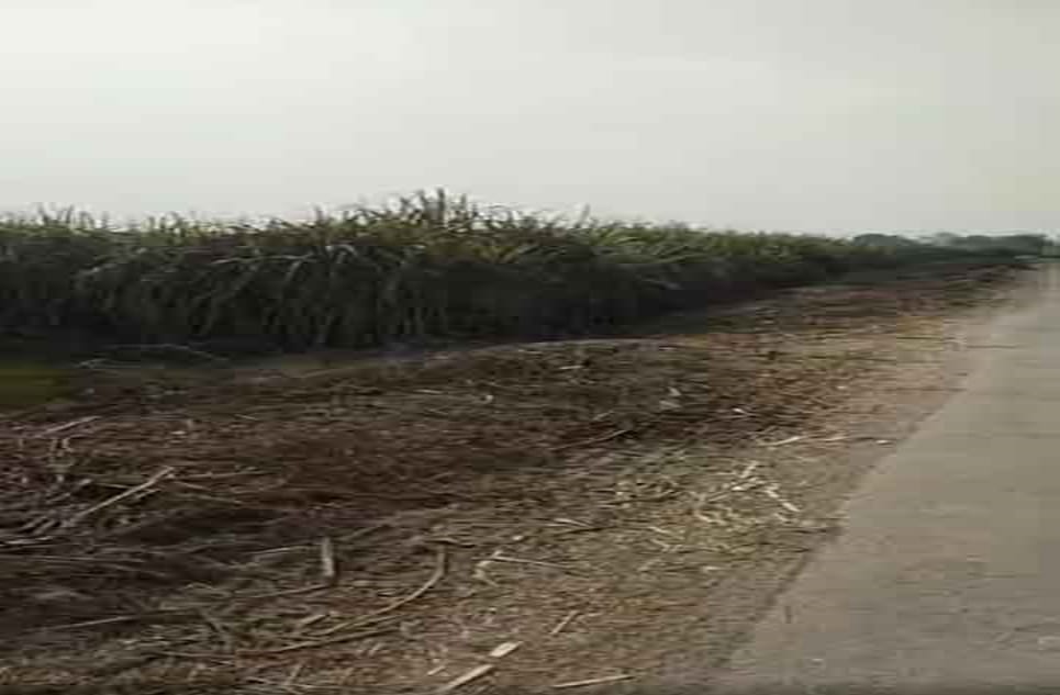 9230715b-76b1-4d1d-8a5e-535c4112bc38