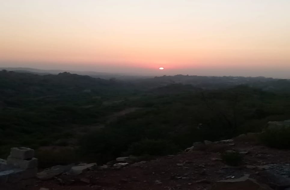 934aa901-c11f-4f05-9379-dded406bcc4a