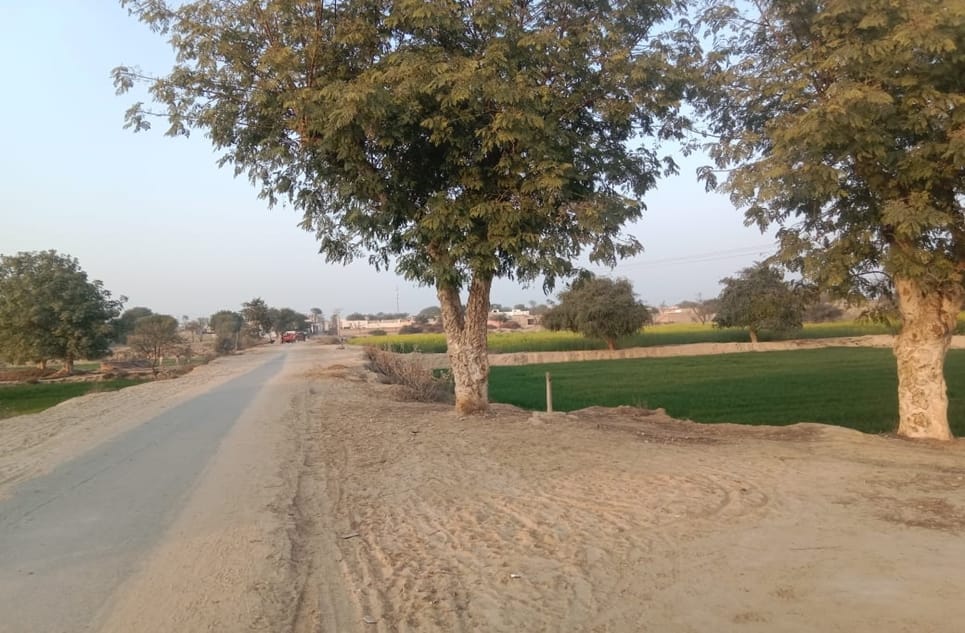 95b4adf9-bcba-4ad6-a60a-9e95ab6d3296