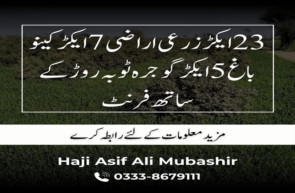 a5baebde-af3f-4ad7-be21-e7d1f419de9a