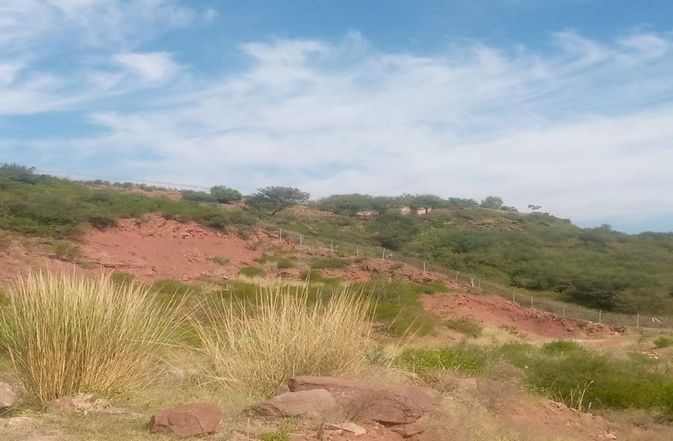 a6b5f2b0-aec5-43ca-af3f-3dcc4094086d