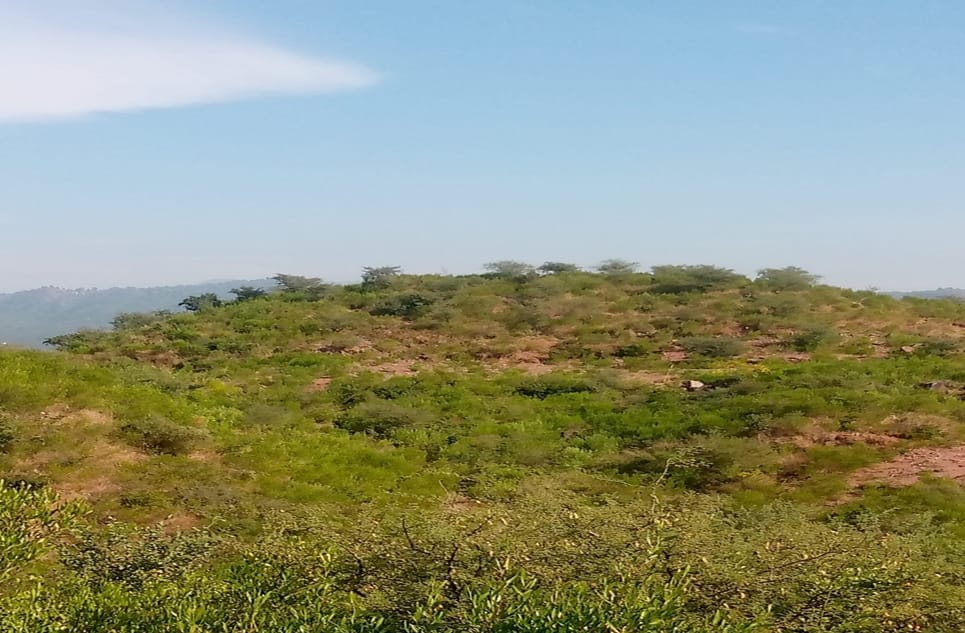 b2665a7b-3006-4999-9bc4-058357250f4c