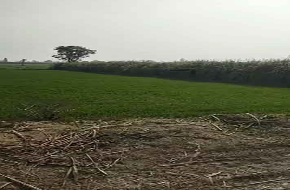 ccc4caf5-f459-4f2f-90e8-ab191c5a40a1