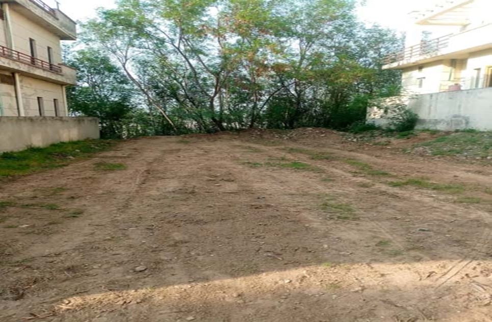 d06065c5-f6f0-437e-a0b2-08a83d500cd7