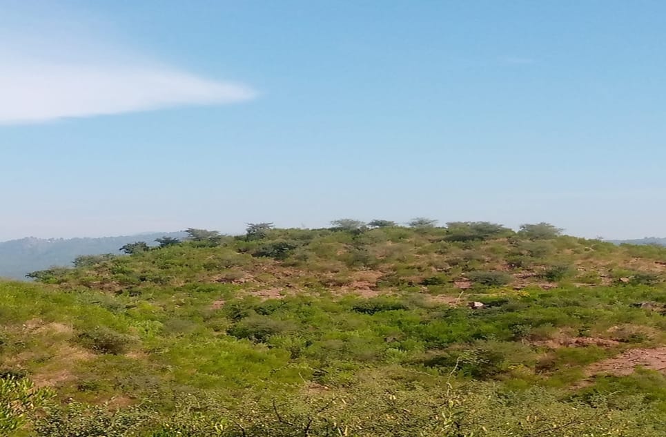 d13dfe19-7595-4706-ad35-11c9d6c3d33a