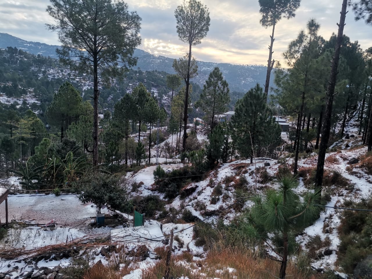 d3878a03-96a2-473a-8e72-c0fa9f327d49