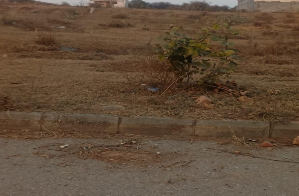 d57d25cb-e014-40aa-b24b-a375f2ca4316