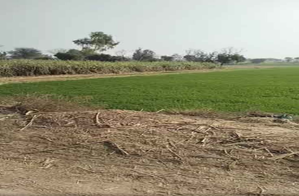 f9e9395c-bb63-4a4a-ba30-fb27a25197d4