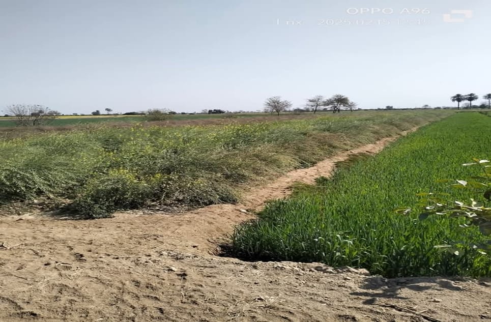 fb5b354a-39f6-48b4-b65e-363f87eb1d0c