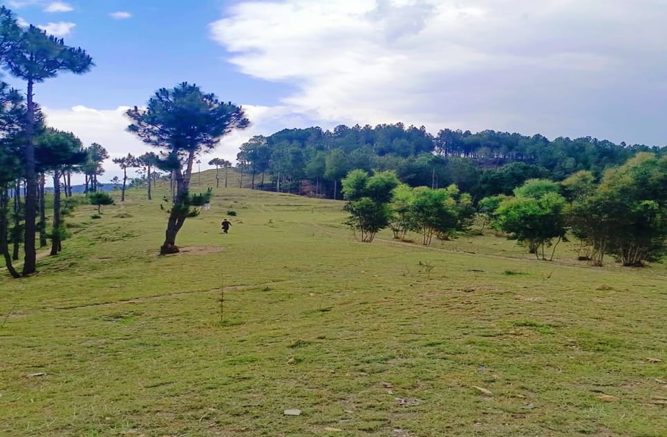 0774a181-7c85-4a18-a067-f21402981231-1