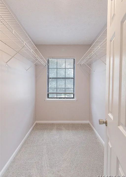 0f9672d9ee5d548be22a0ec04344cca1-cc_ft_960