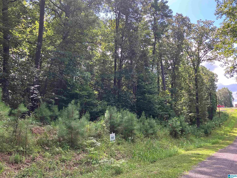 200-E-Sunset-Blvd-10-oneonta-AL-4