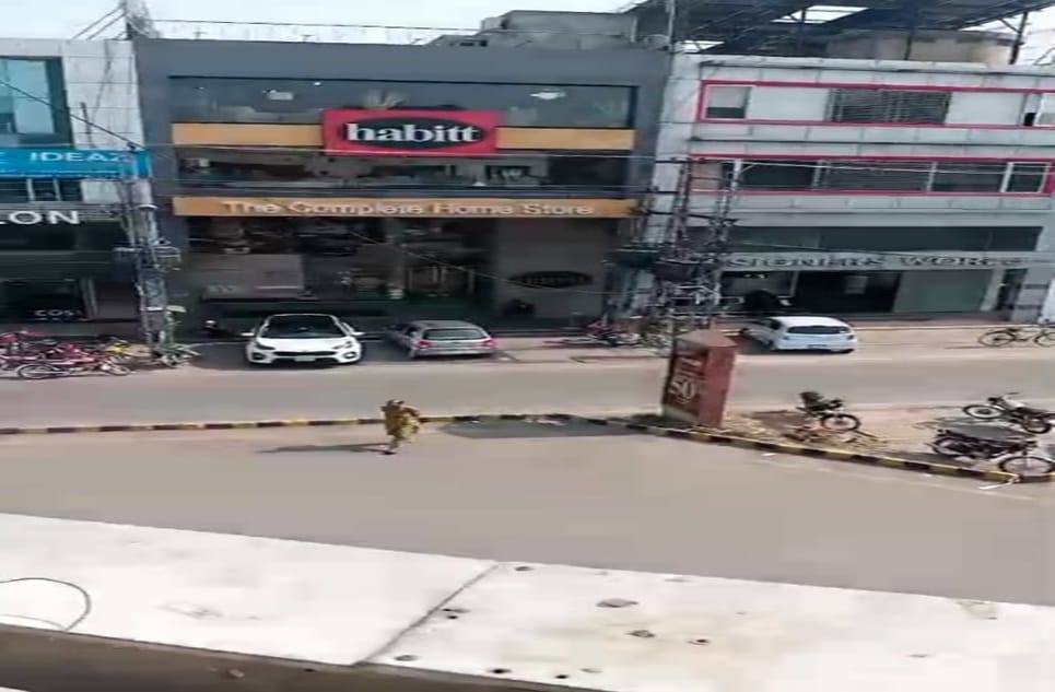 46b8852c-8713-4552-88bc-7da9ff8f4630