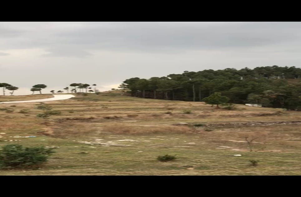 51e0b186-2430-451d-92b2-4b0050b512a0