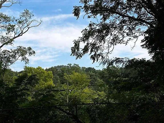 6015-5th-Ave-S-1-birmingham-AL-2