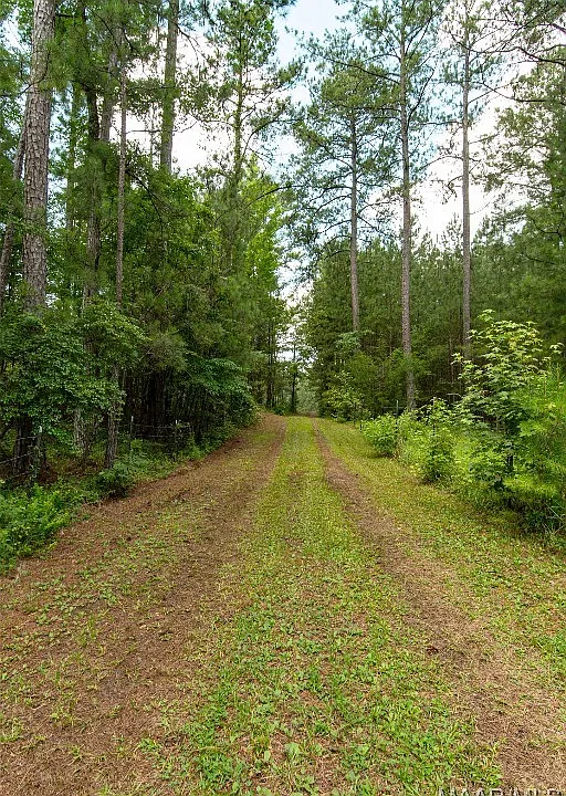 9afc4d047c024b7c7bd9257bc569ea0e-cc_ft_960