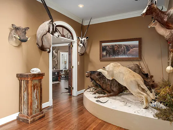 c3df76ca41a68d8ef499dde864c97e39-cc_ft_576