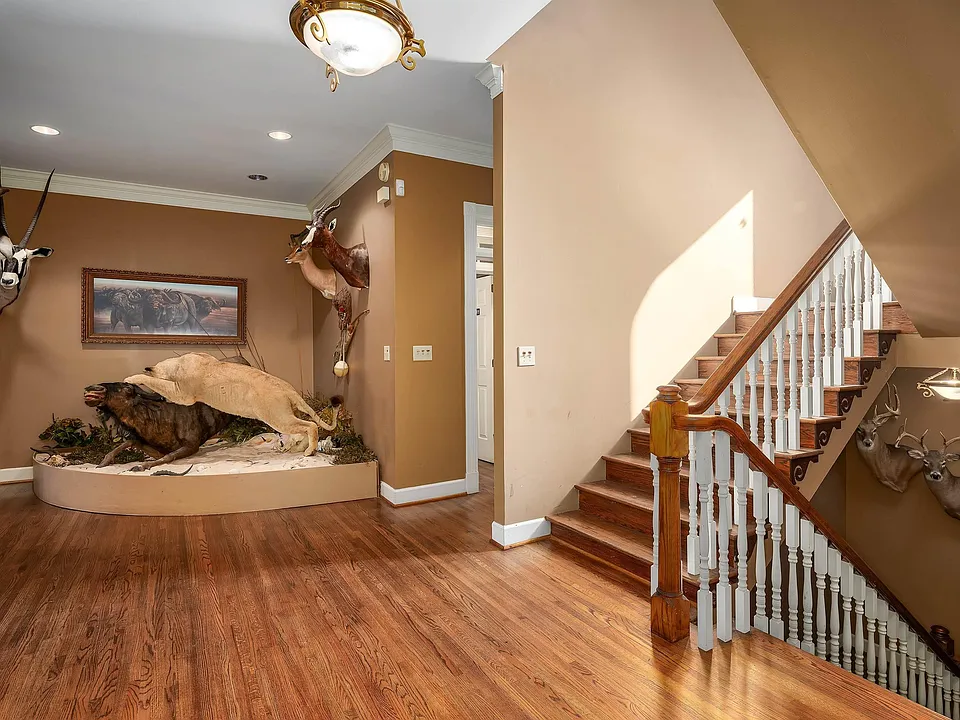 d04318db480306c45b3a80802c61593a-cc_ft_960