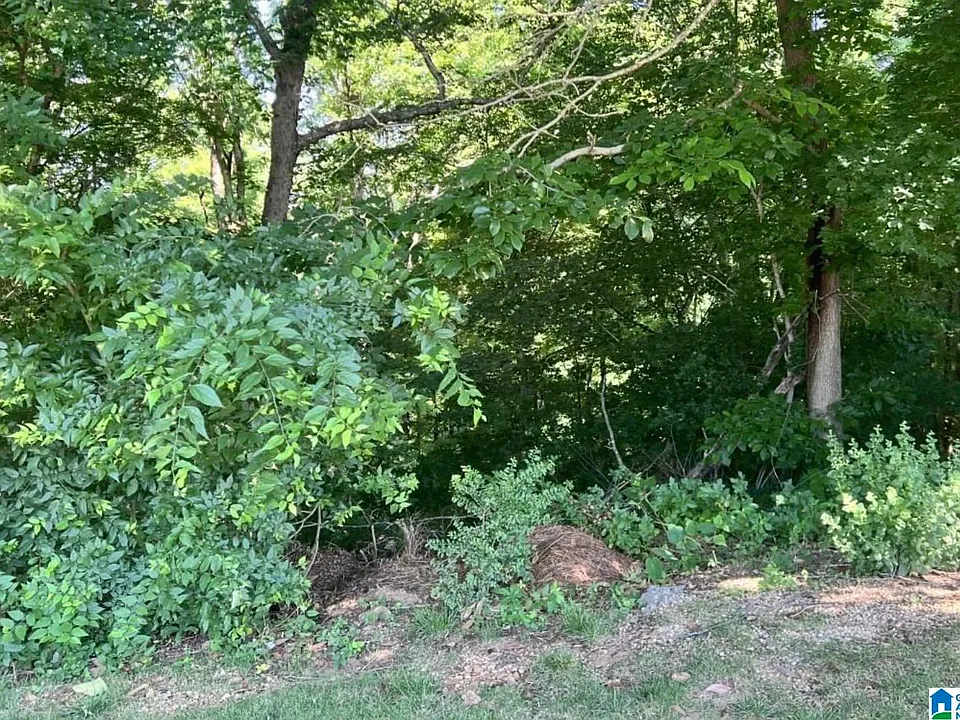 e23b1b325a9b4183514d0913838867ac-cc_ft_960